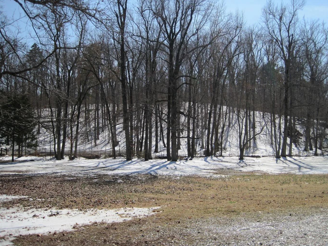 Open lakeside park area with bare trees and patches of snow