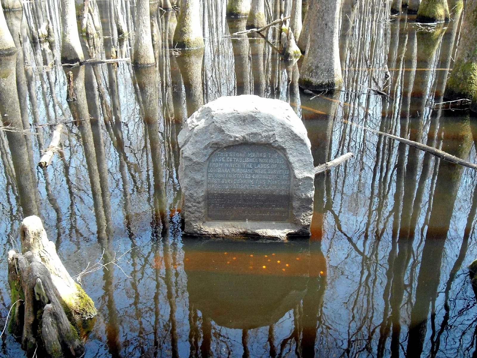 Stone monument standing in shallow water among tree trunks