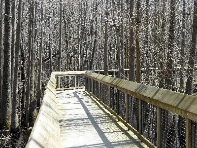 Louisiana Purchase State Park