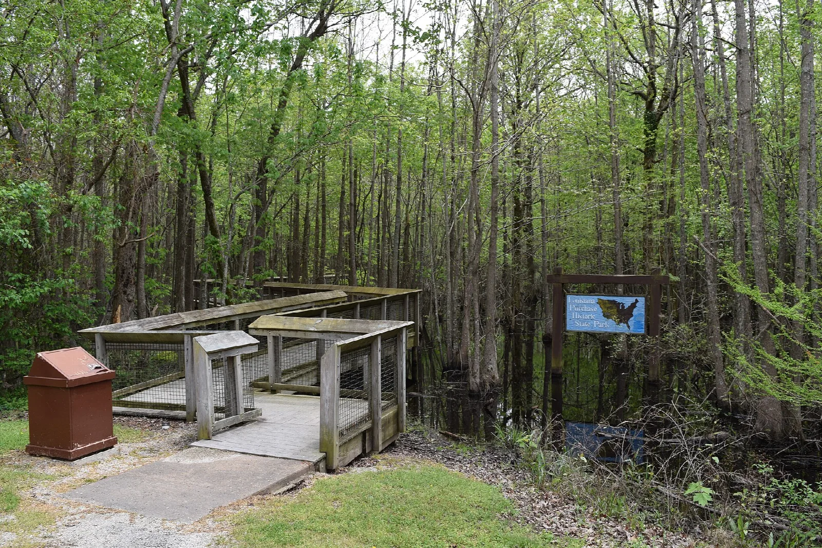 Start of a wooden boardwalk into a flooded forest