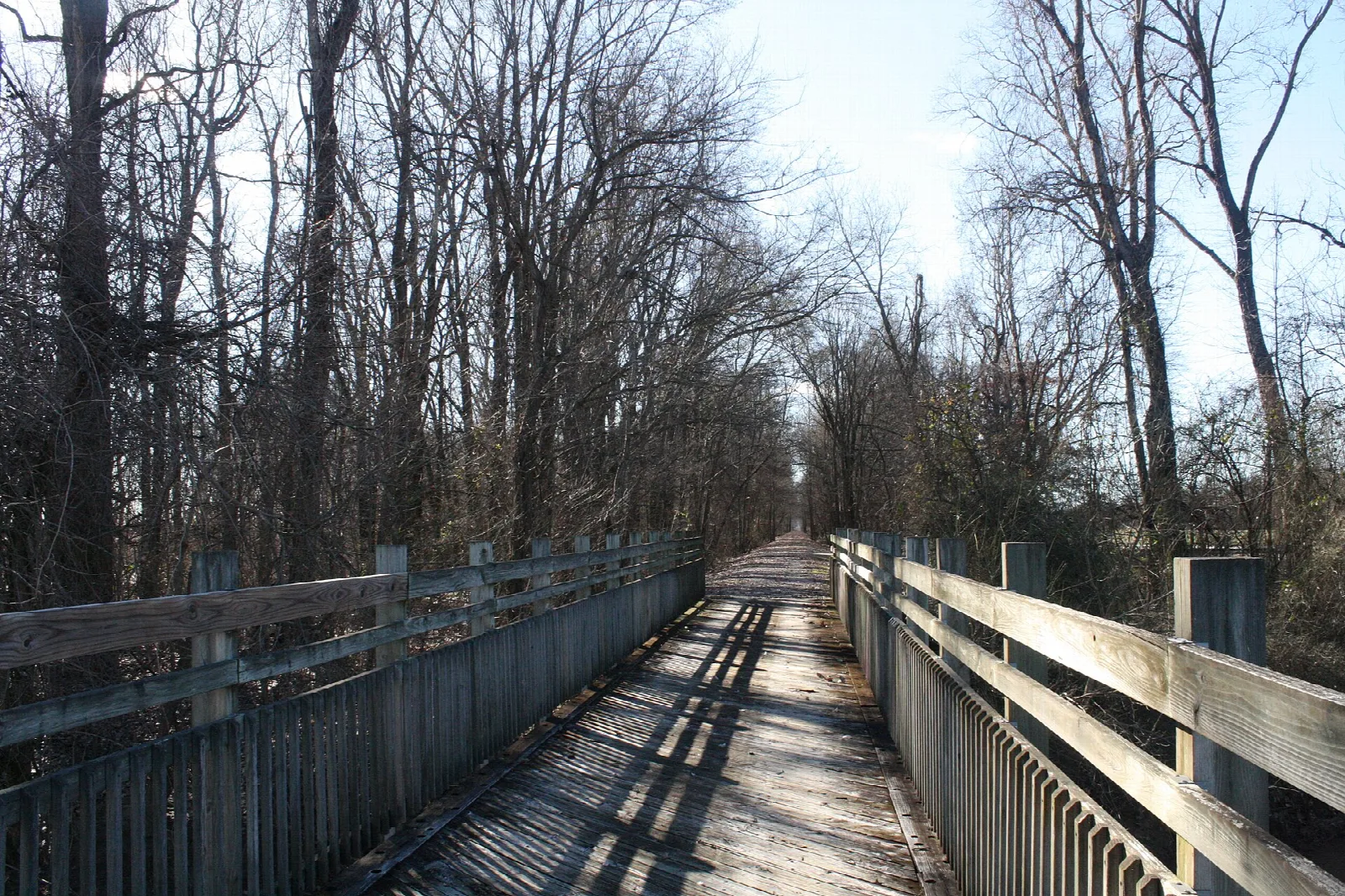 Wooden-railed bridge on a straight trail through bare trees