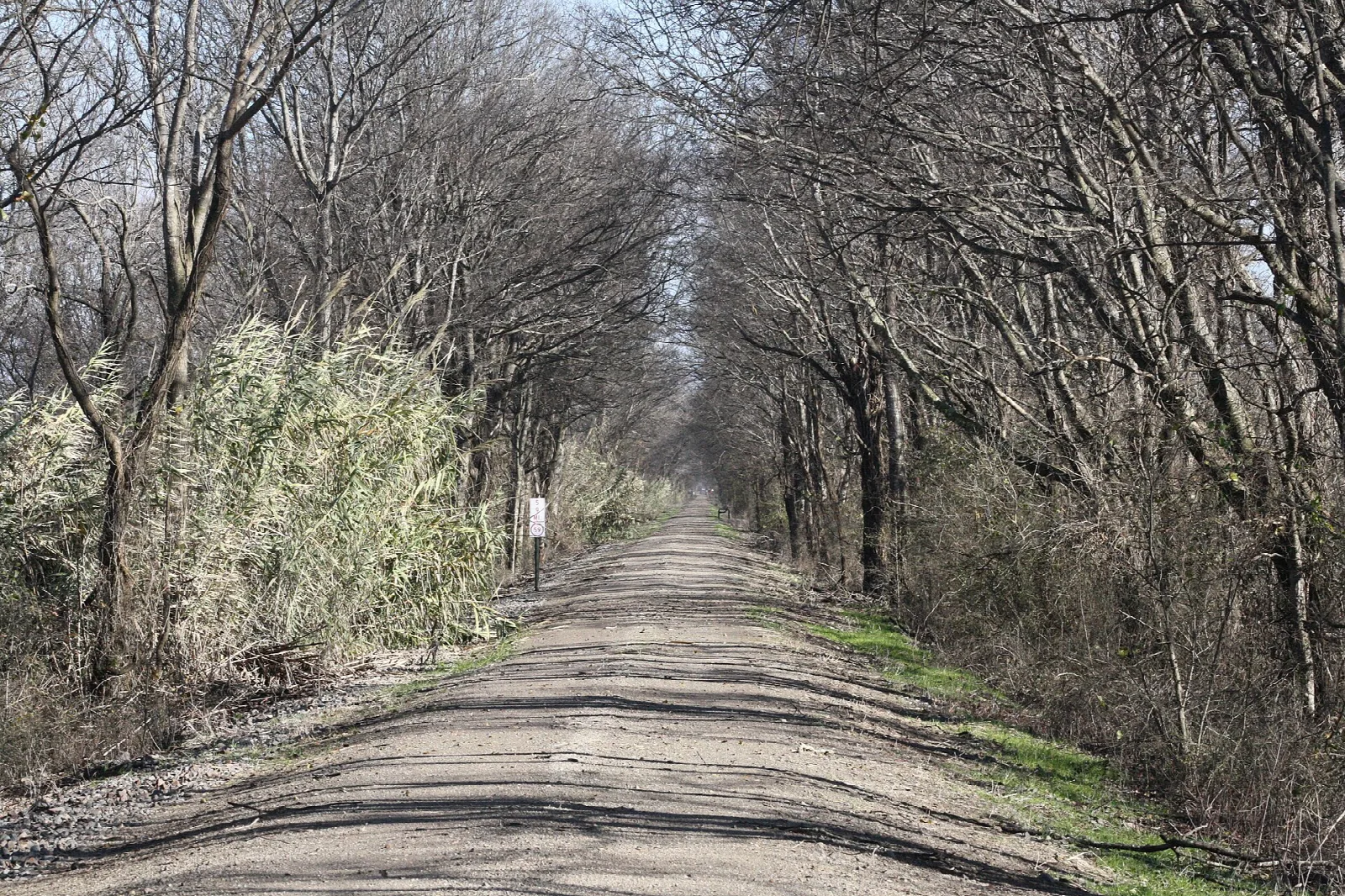 Gravel trail running straight through trees and brush
