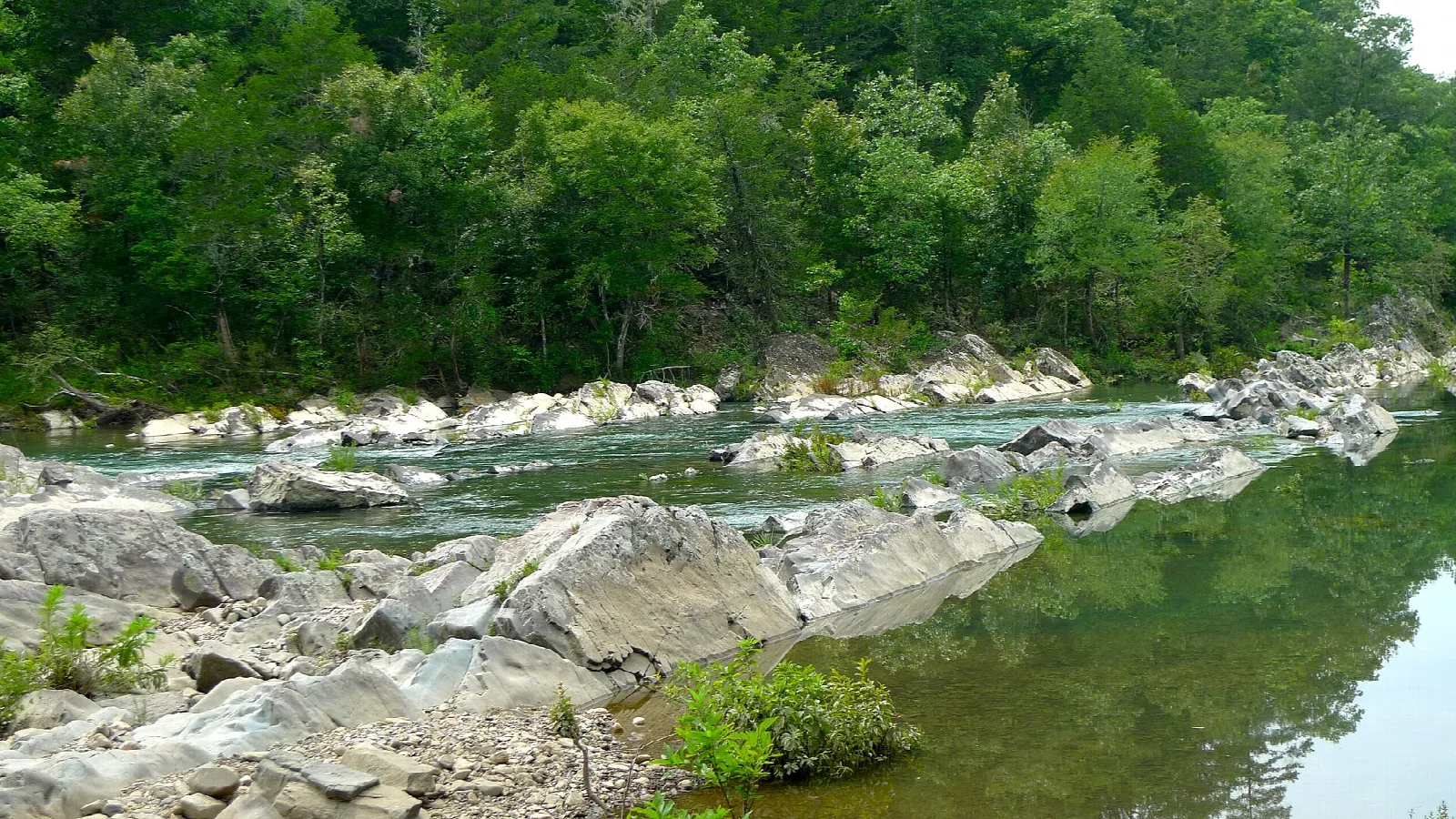 Wide shallow river over gray rocks with forested banks