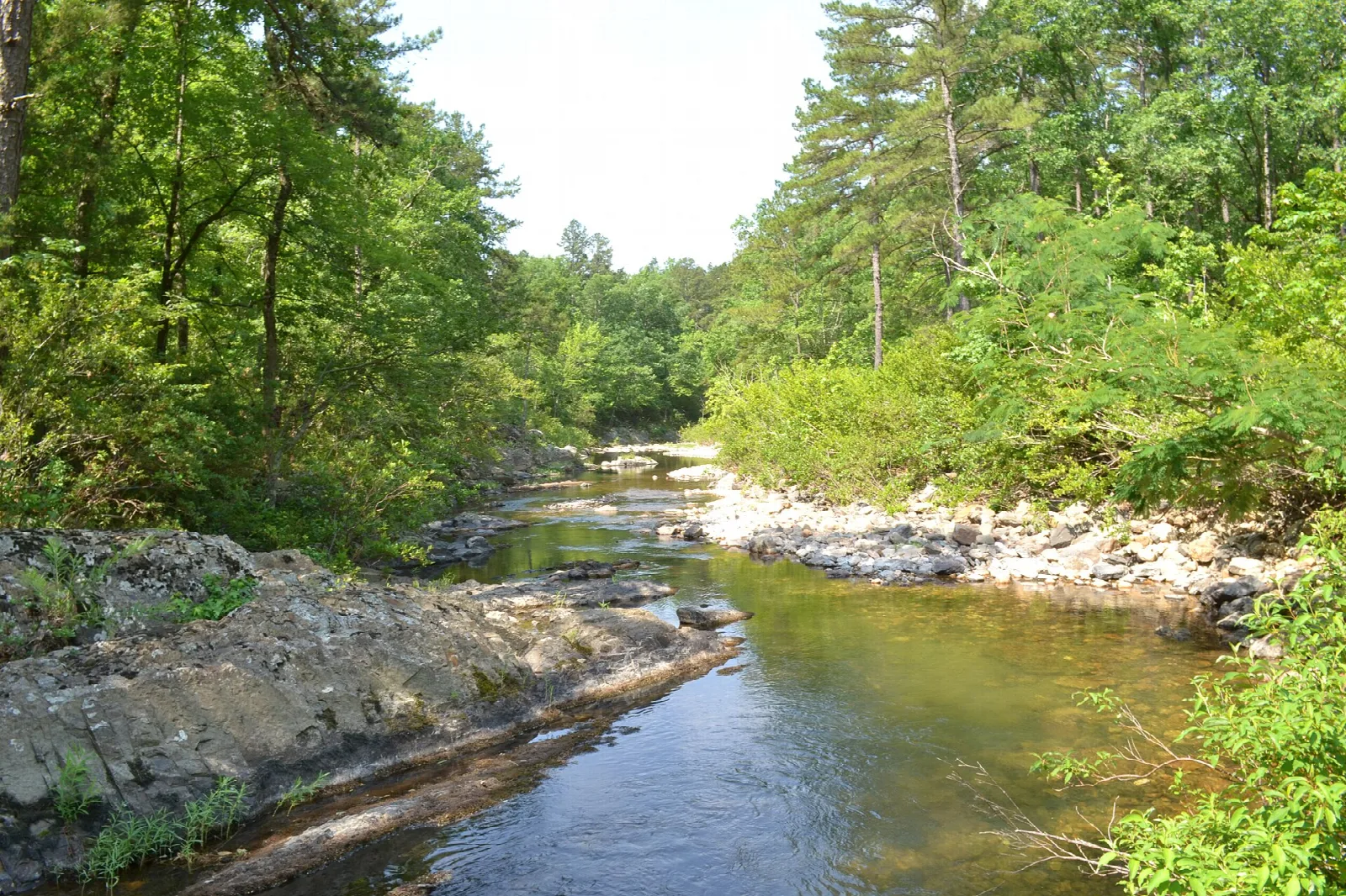 Clear river bending between rock ledges and green forest