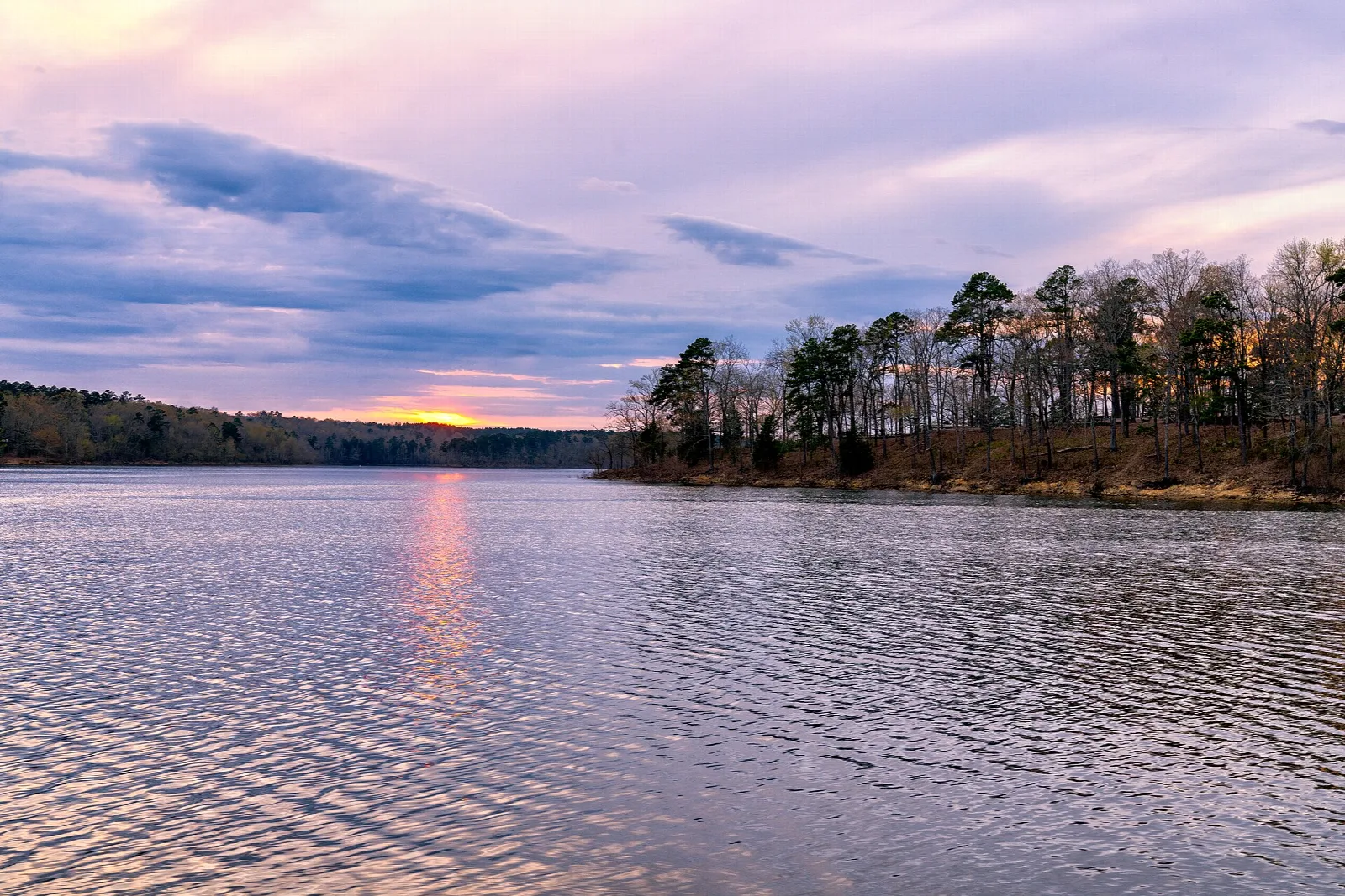 Wide lake at sunset with pine trees on the far shore
