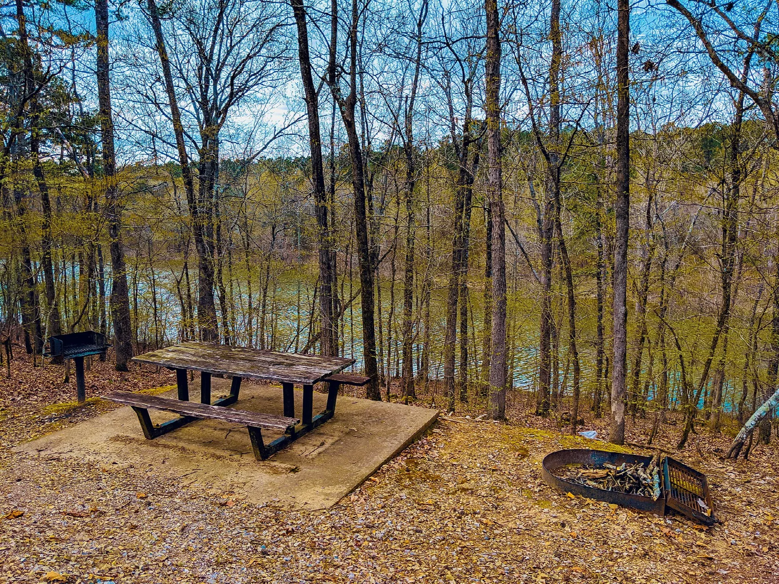 Picnic table and fire ring on a flat site above the lake