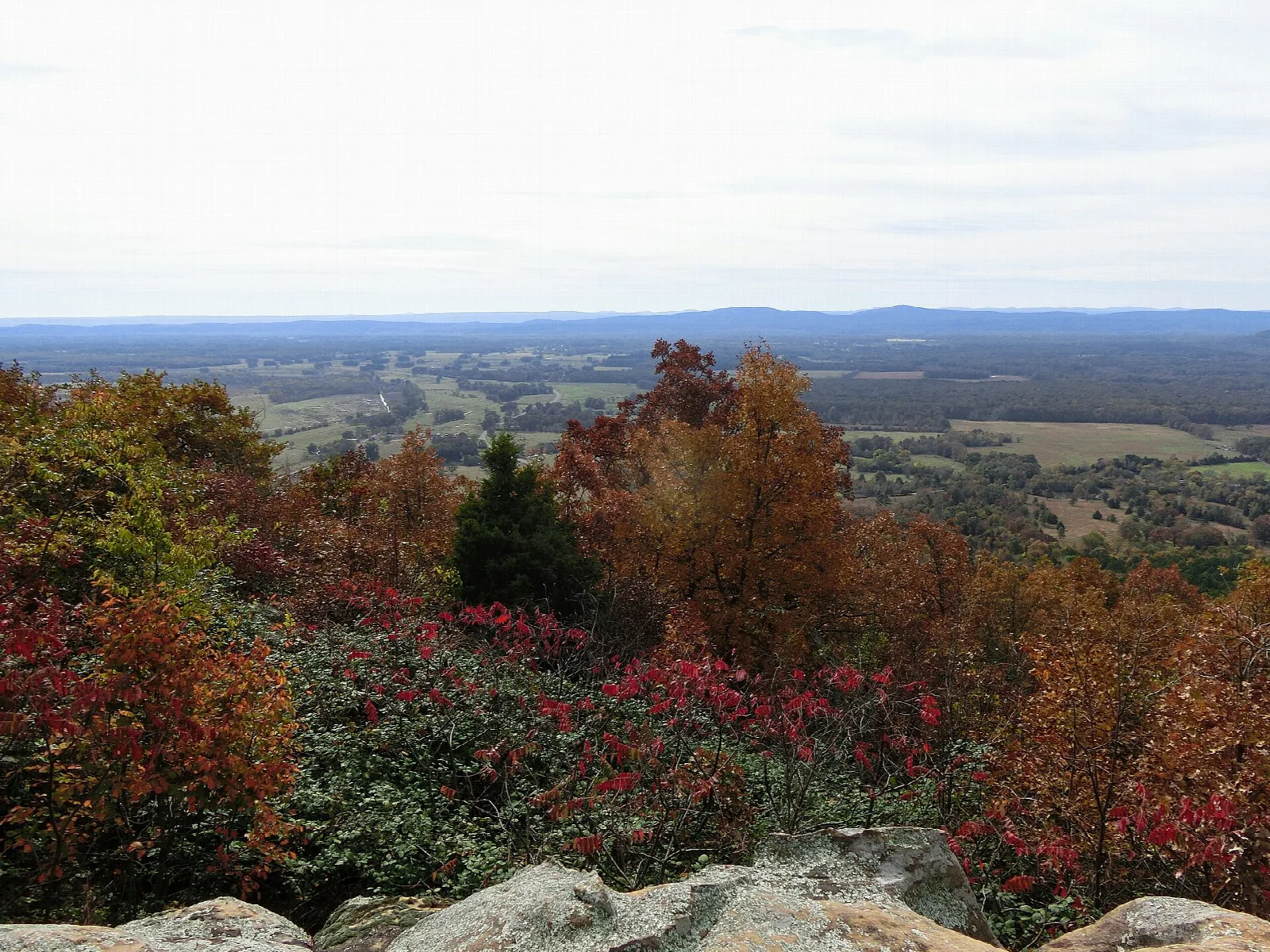 Overlook with red shrubs and a wide valley beyond
