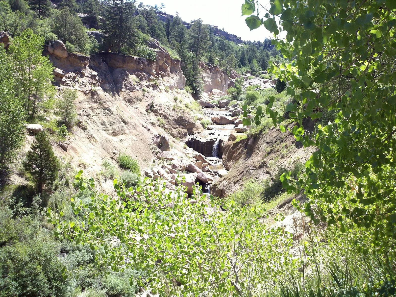 A rocky canyon with trees and a small waterfall