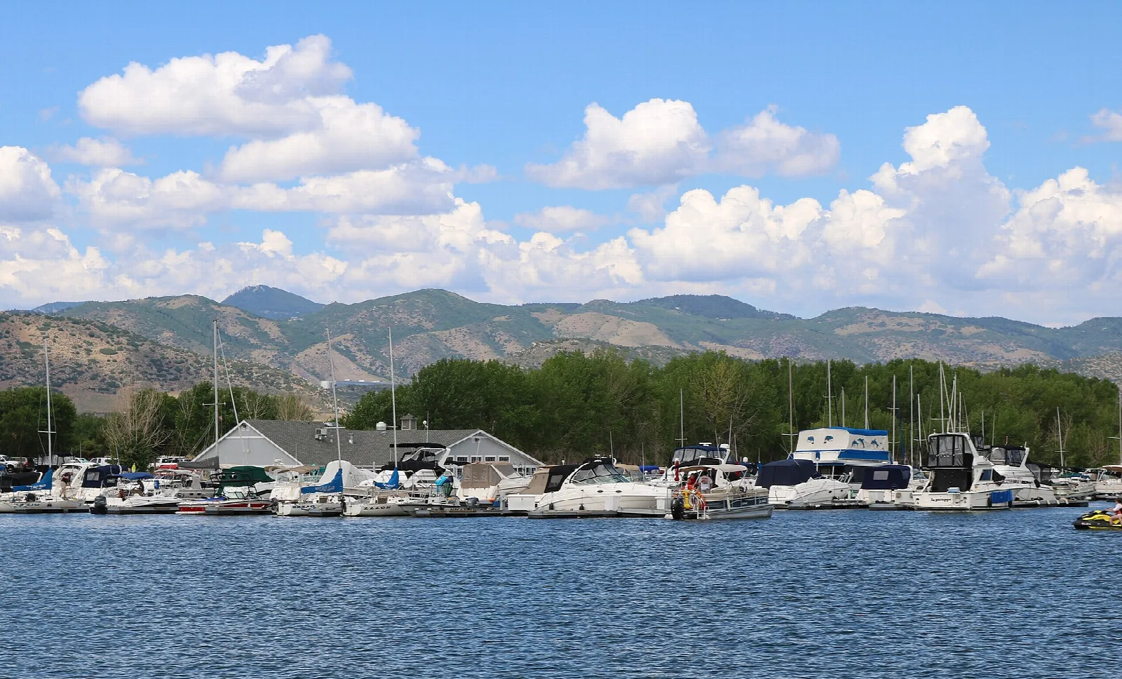 Boats docked in a marina with hills beyond