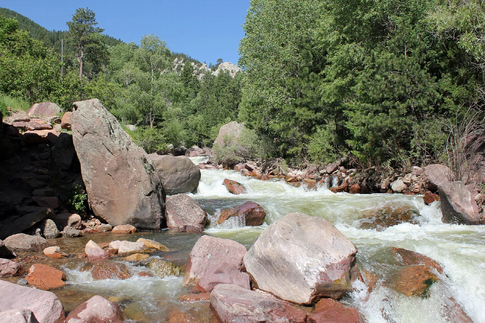 Rushing water over pink boulders in a forested canyon