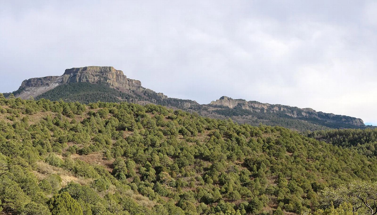 Fishers Peak and a long cliff wall above green juniper hills