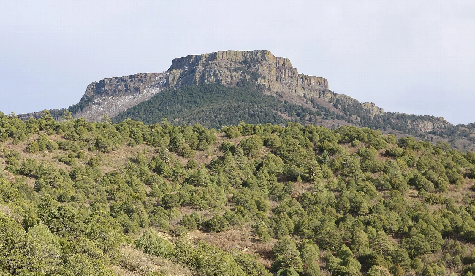 A flat-topped mountain above hills covered in juniper and pine