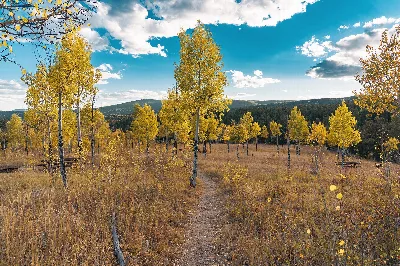 Golden Gate Canyon State Park
