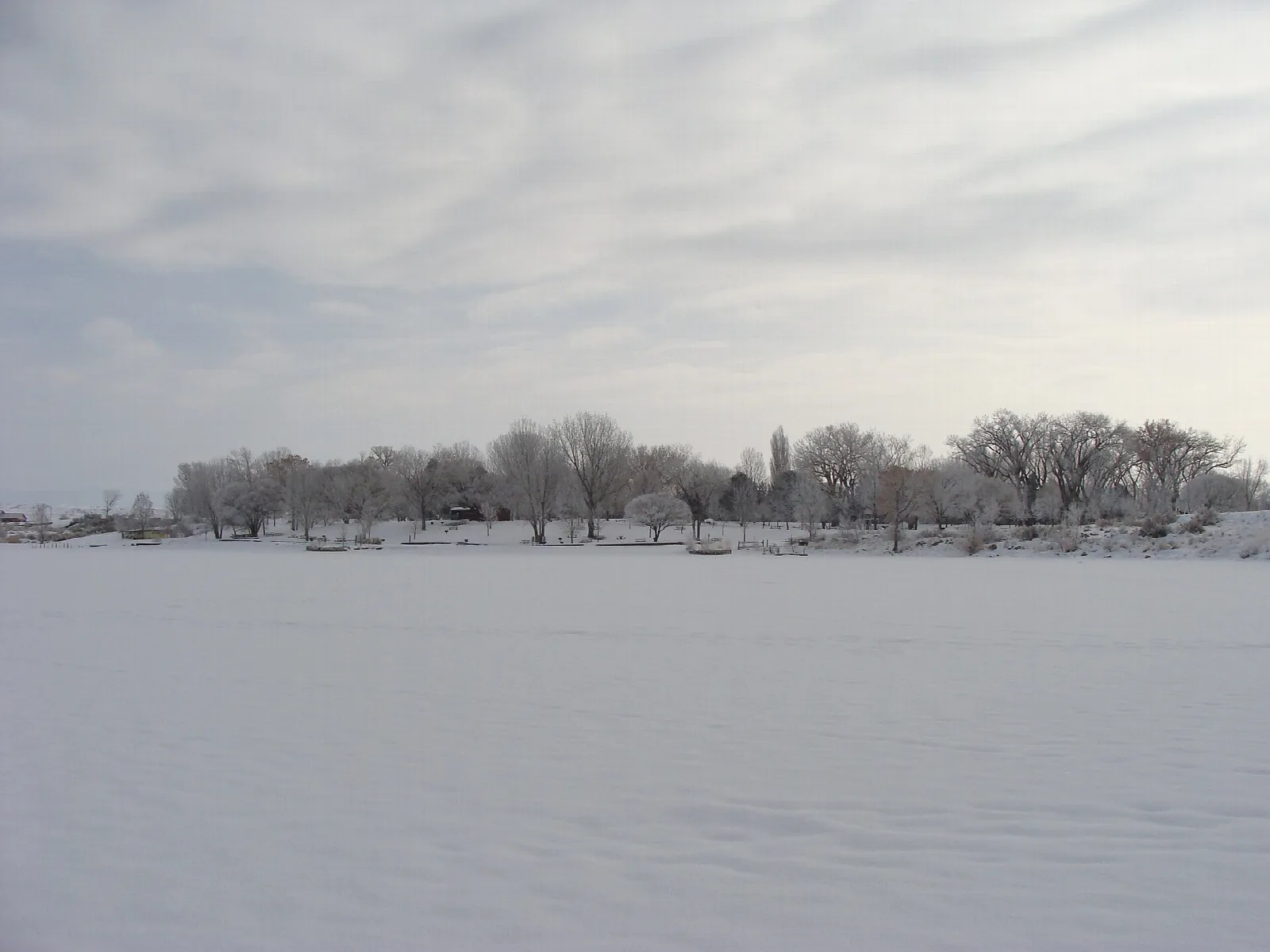 A snow-covered frozen lake with bare trees on the far shore