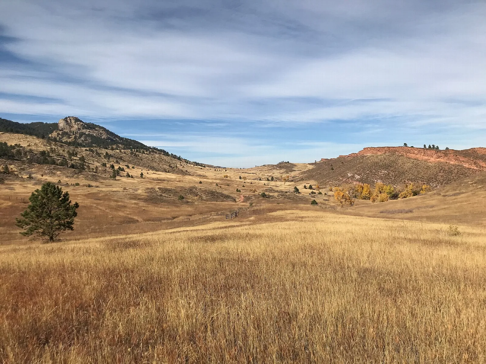 Golden grass valley with ridges and a lone pine