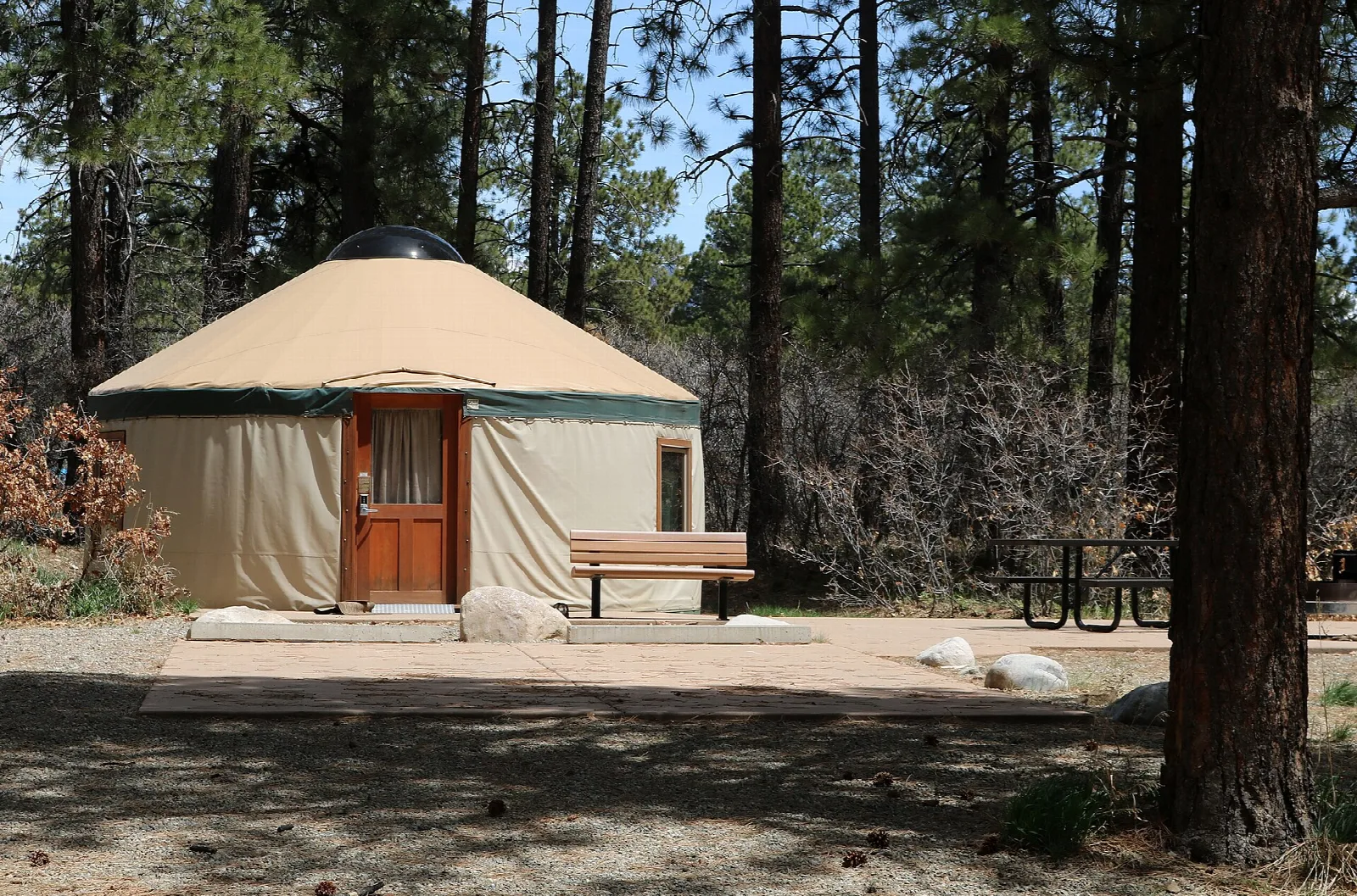 Canvas yurt among tall pines with a picnic table