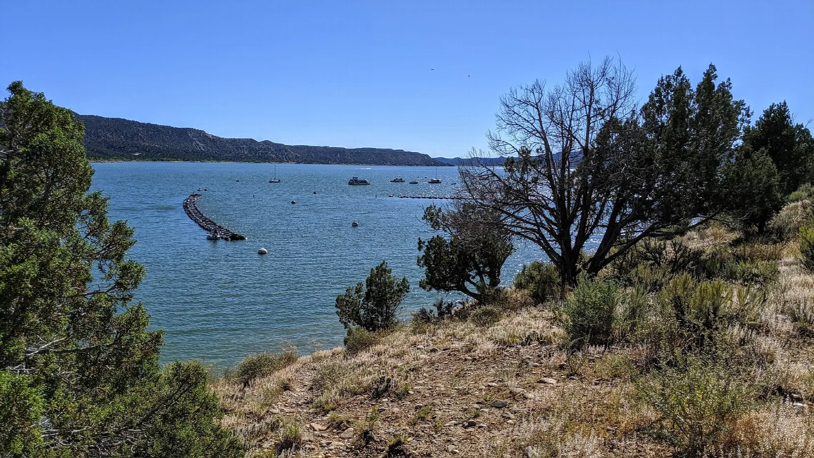 Blue lake arm seen through juniper and a bare tree