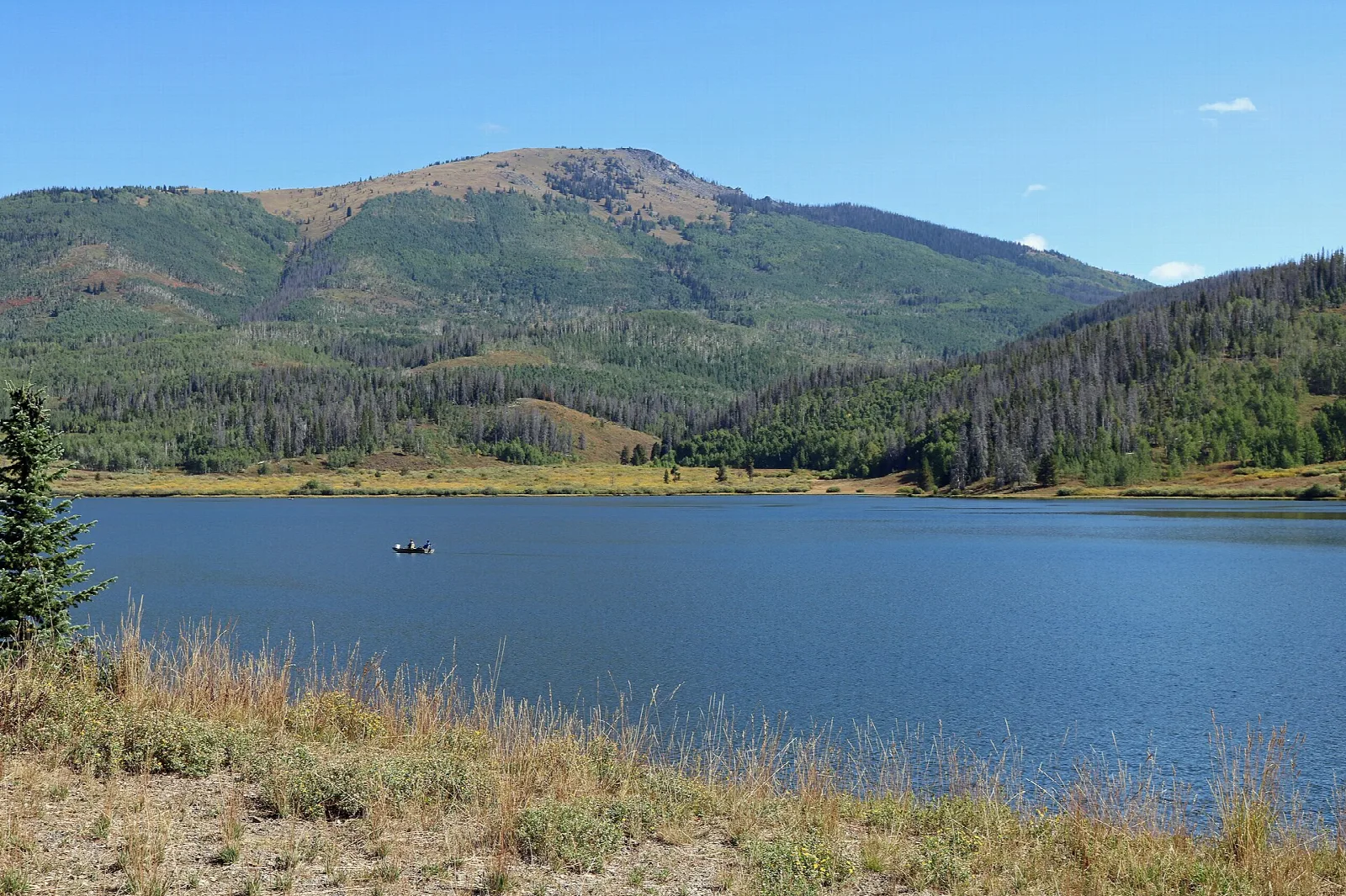Blue lake ringed by green forest and a rounded mountain