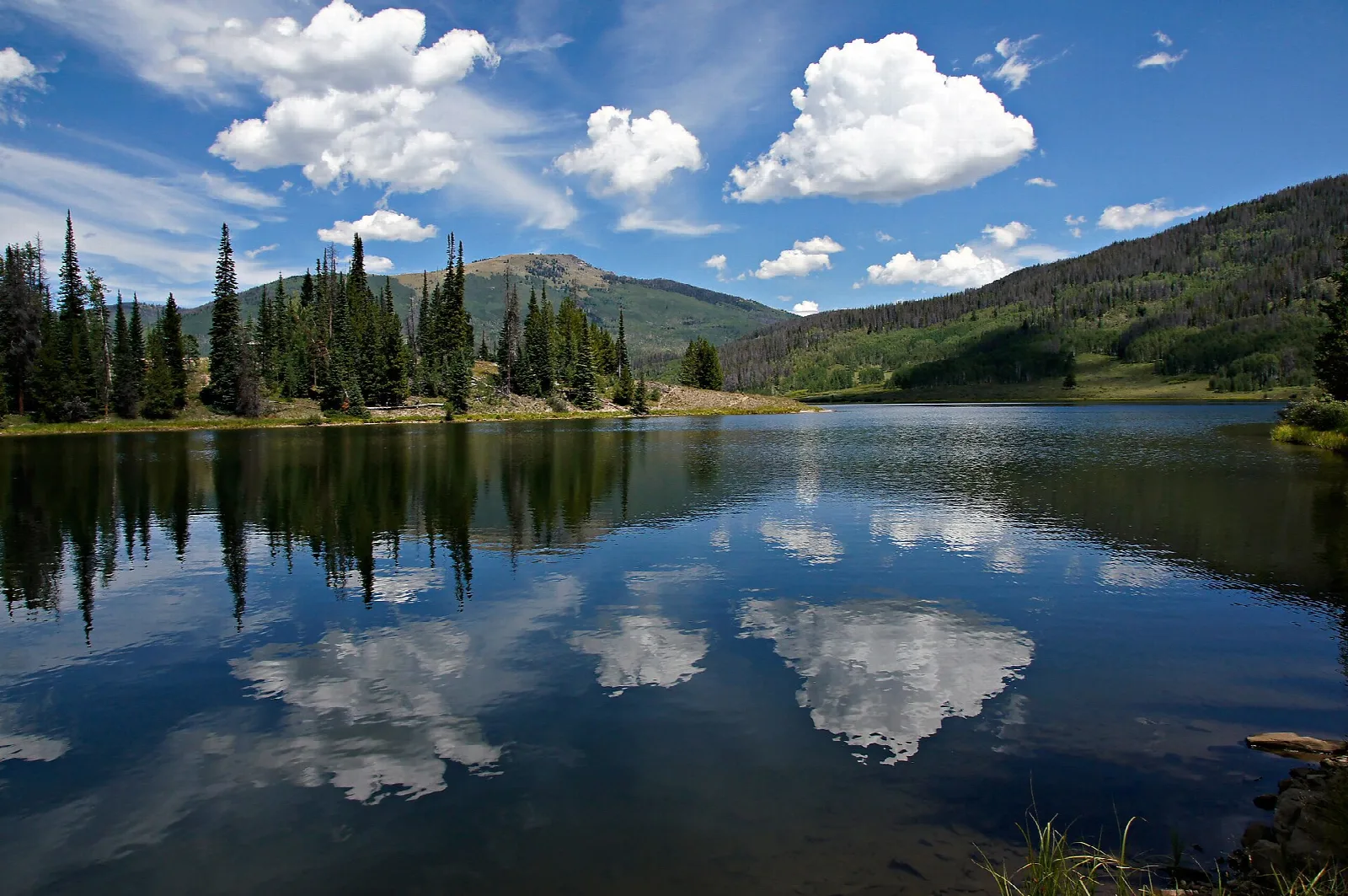 Calm lake mirroring clouds and a forested slope