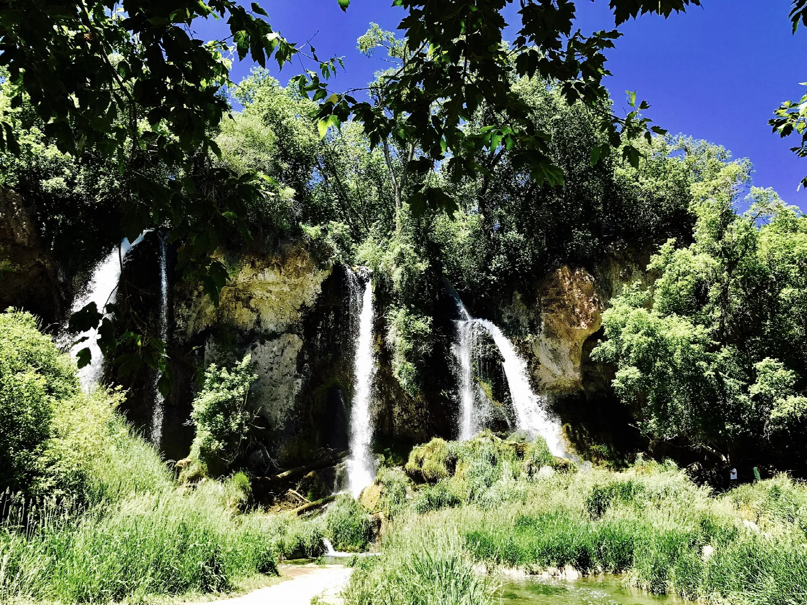 Falls behind bright green trees and grass