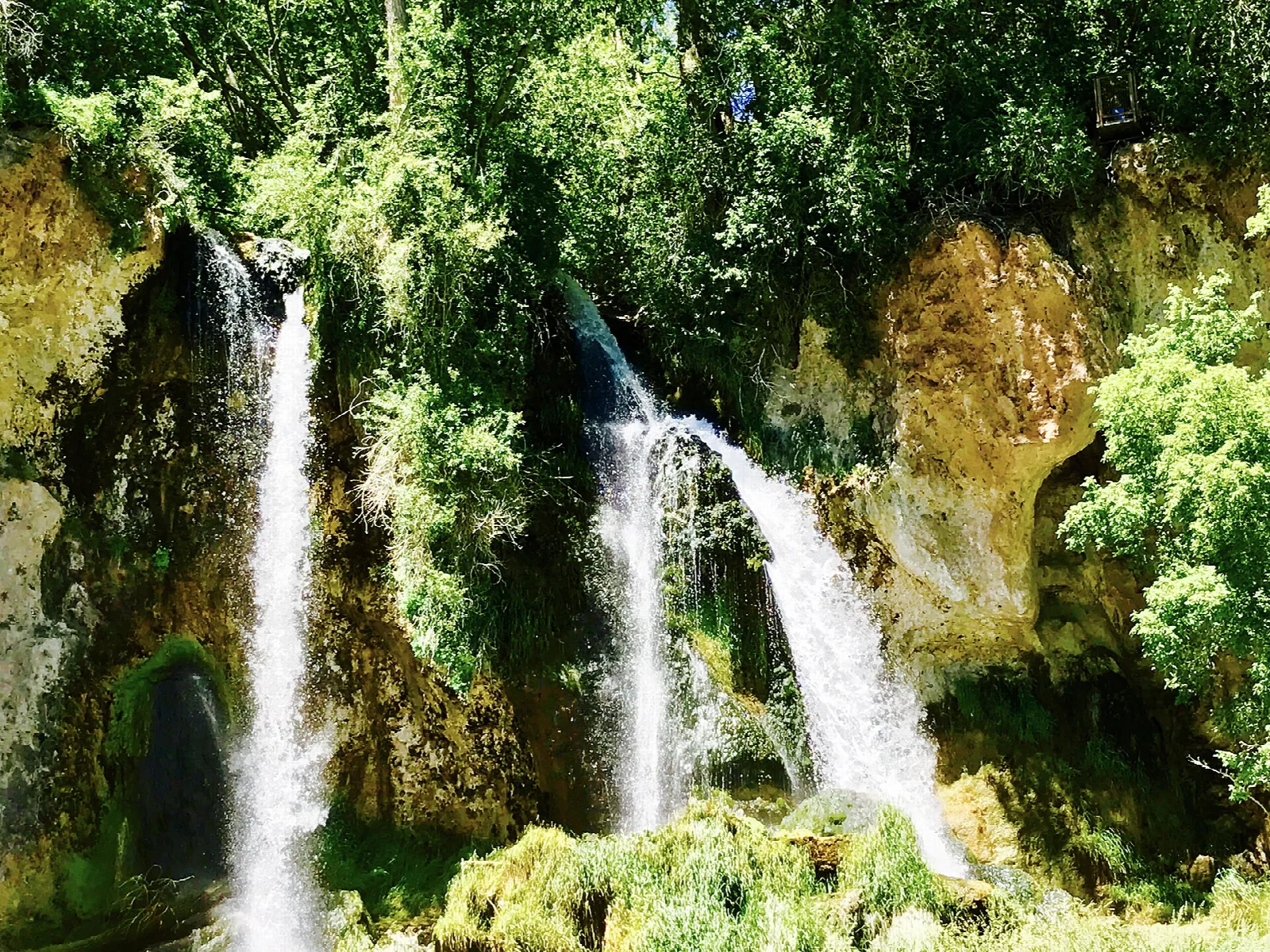 Two waterfalls framed by lush green leaves