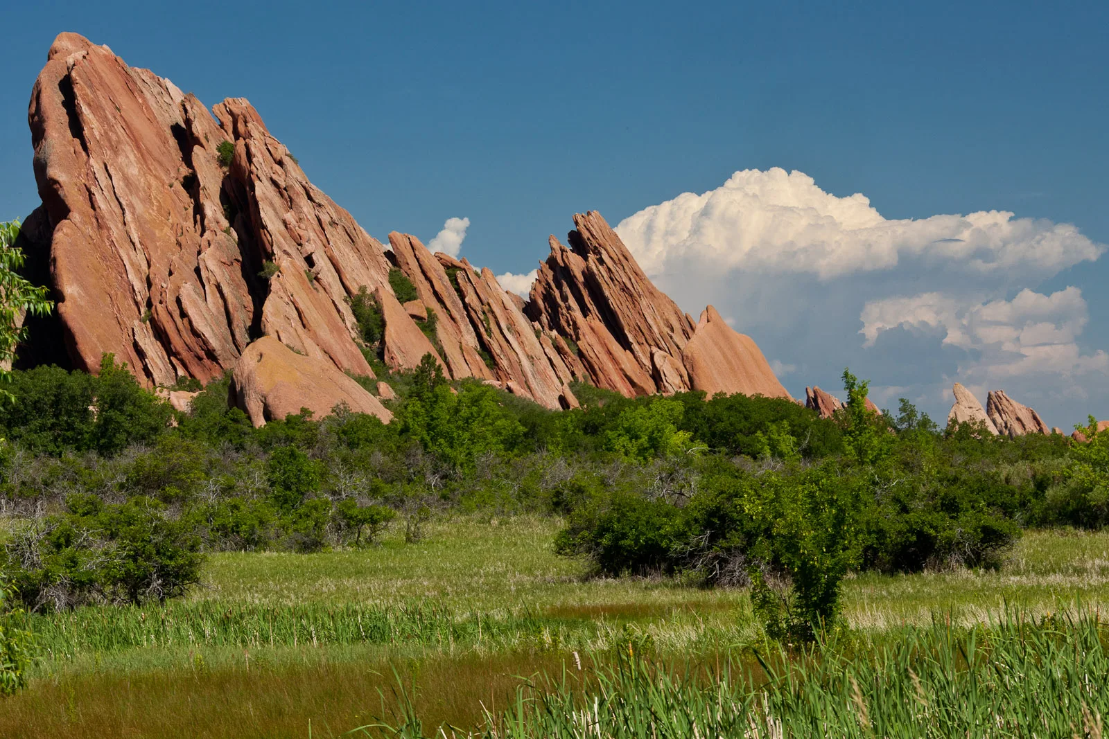 Tall red sandstone fins rising above a green meadow and shrubs under a blue sky