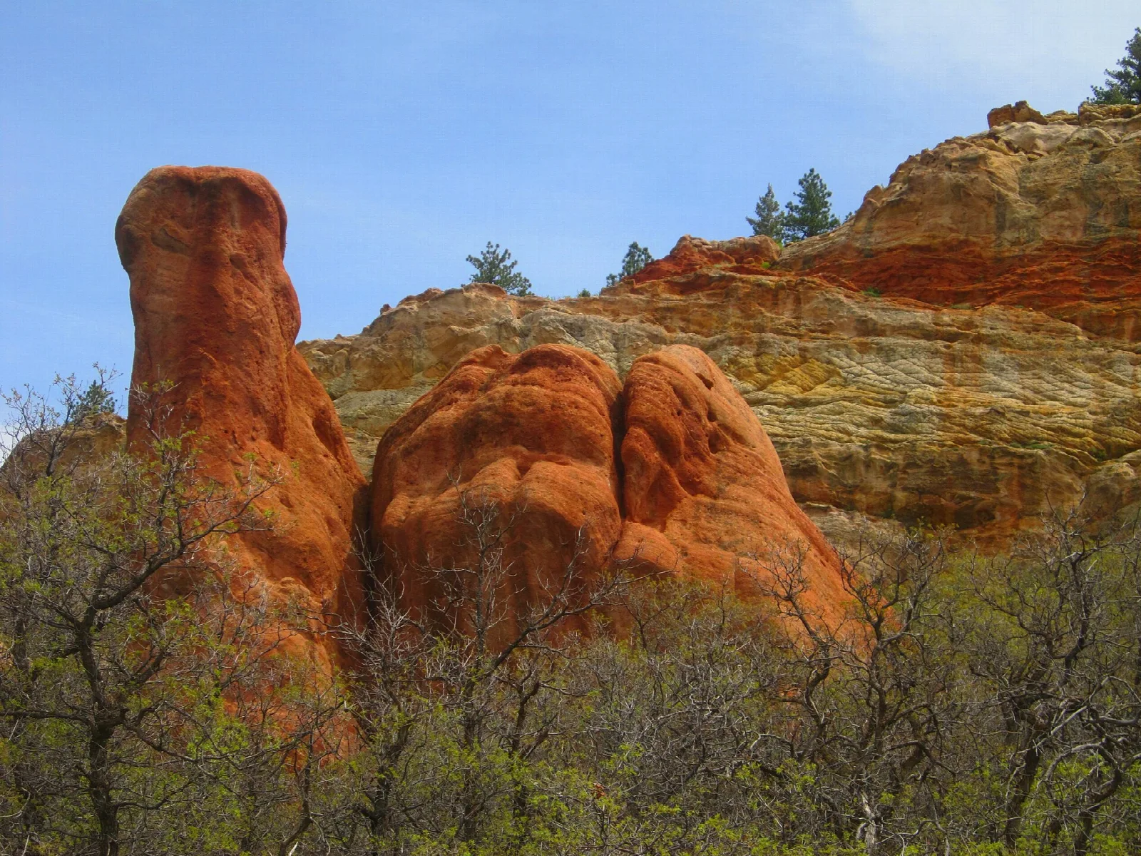 Rounded red sandstone towers against layered cliffs and green brush