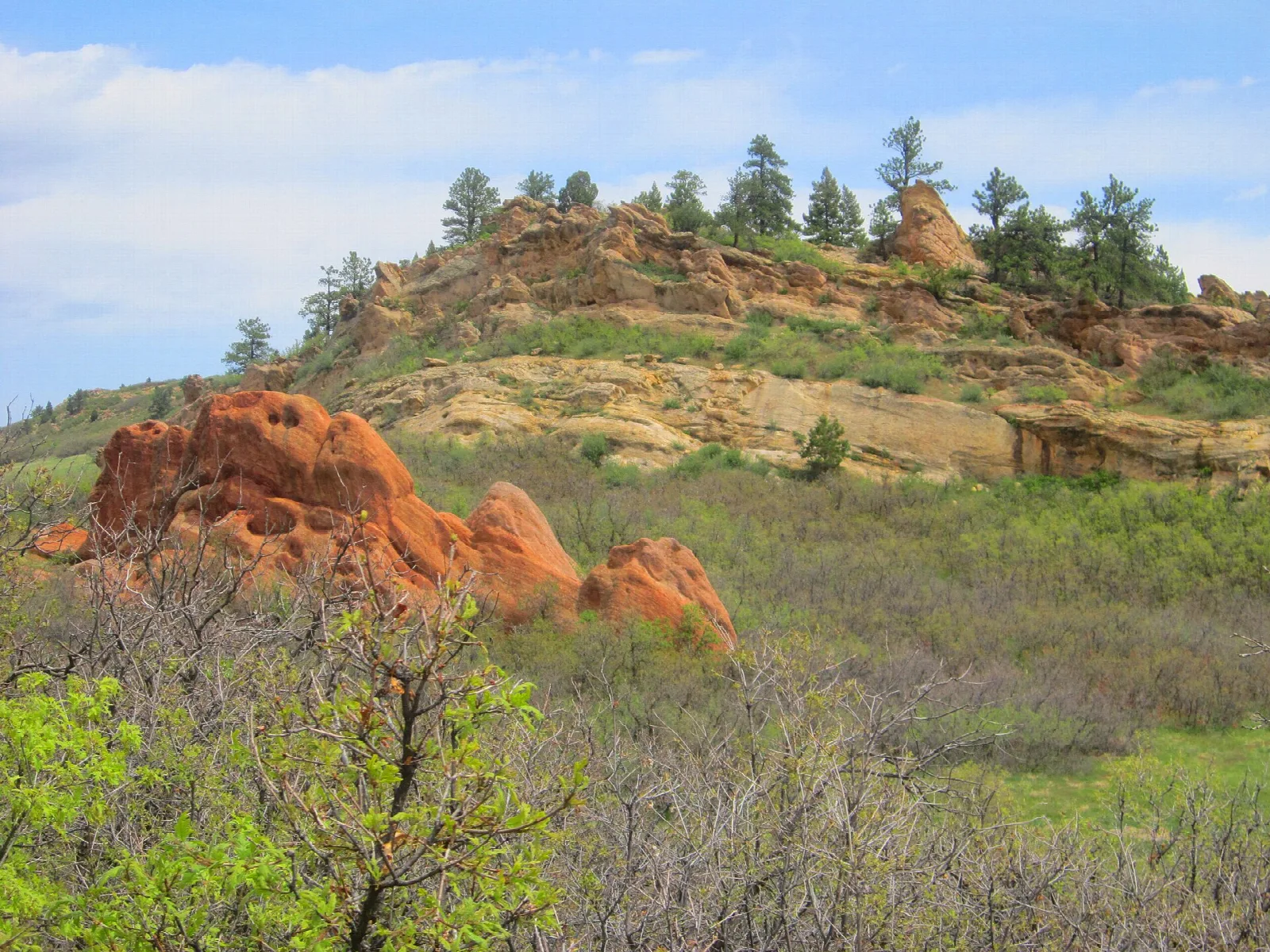 Red rock outcrop below a grassy hillside with scattered pines
