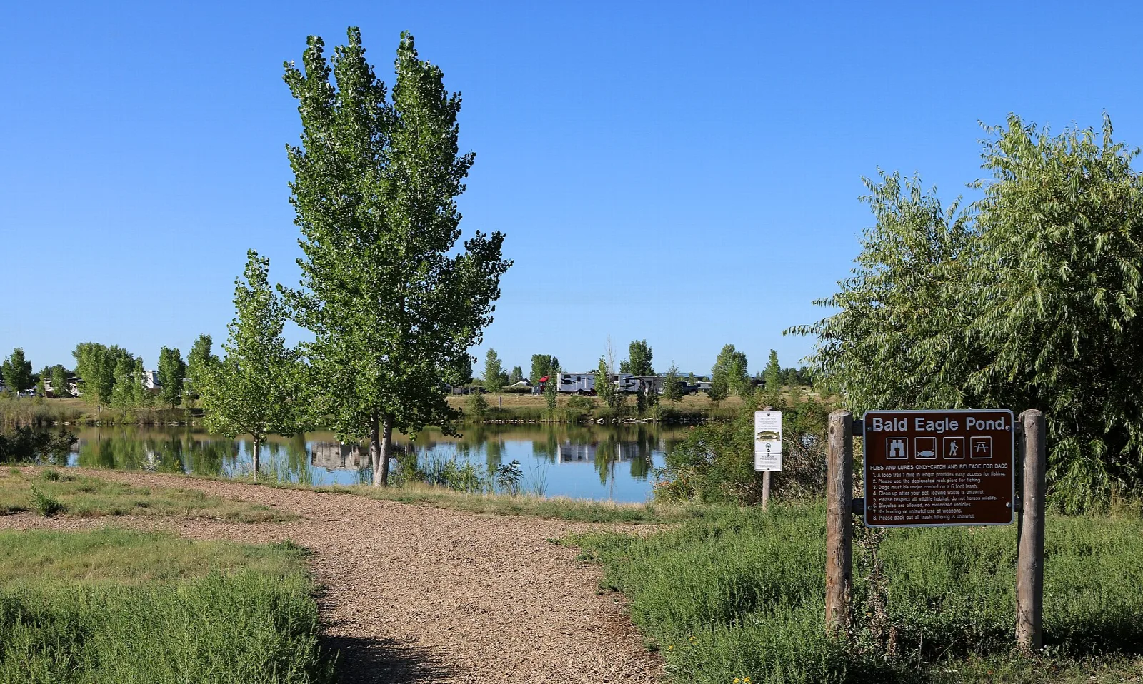 Pond seen past tall poplar trees, with a gravel path and a pond sign in the grass
