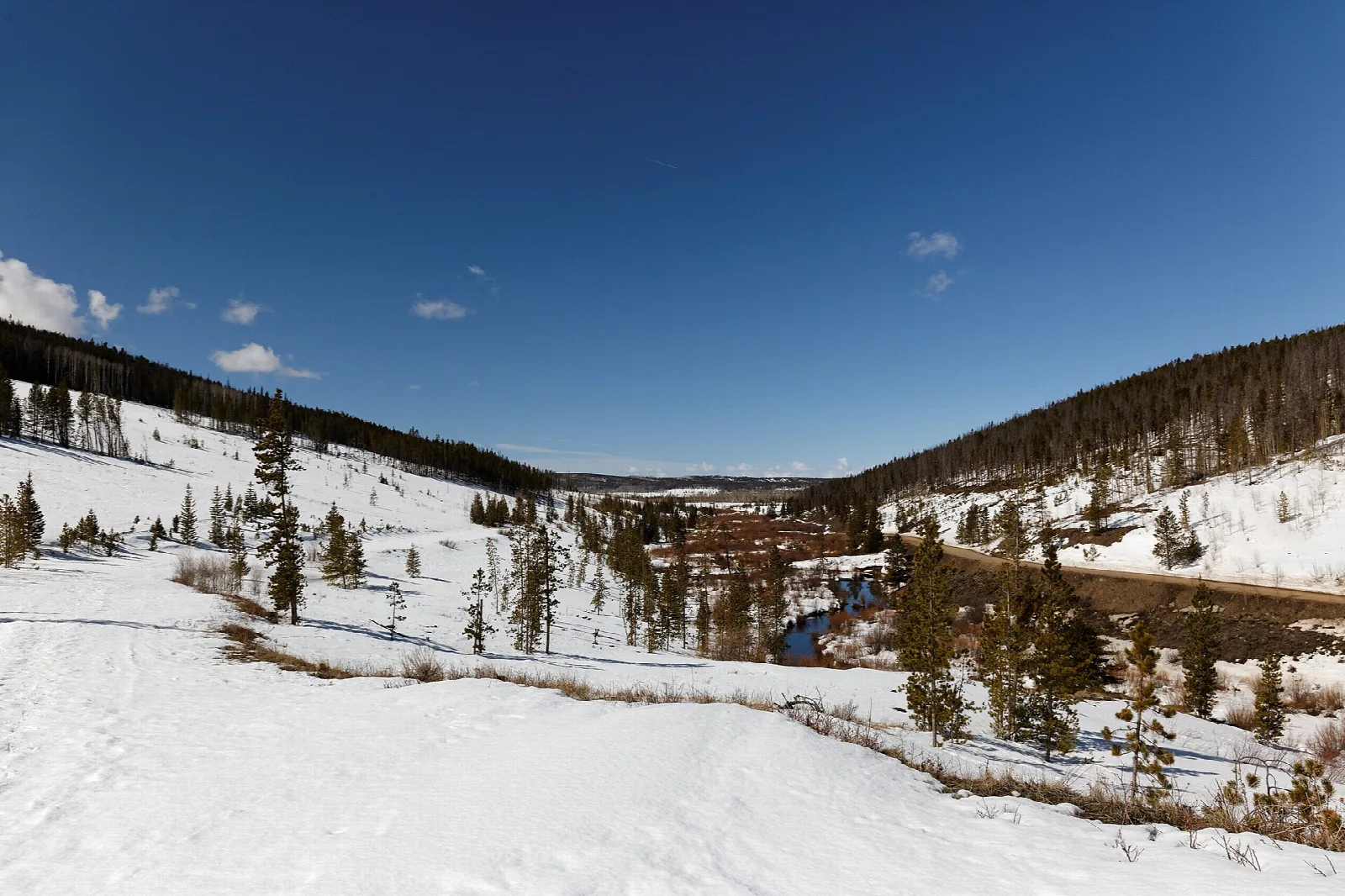 Snowy valley with a creek and conifers under a deep blue sky
