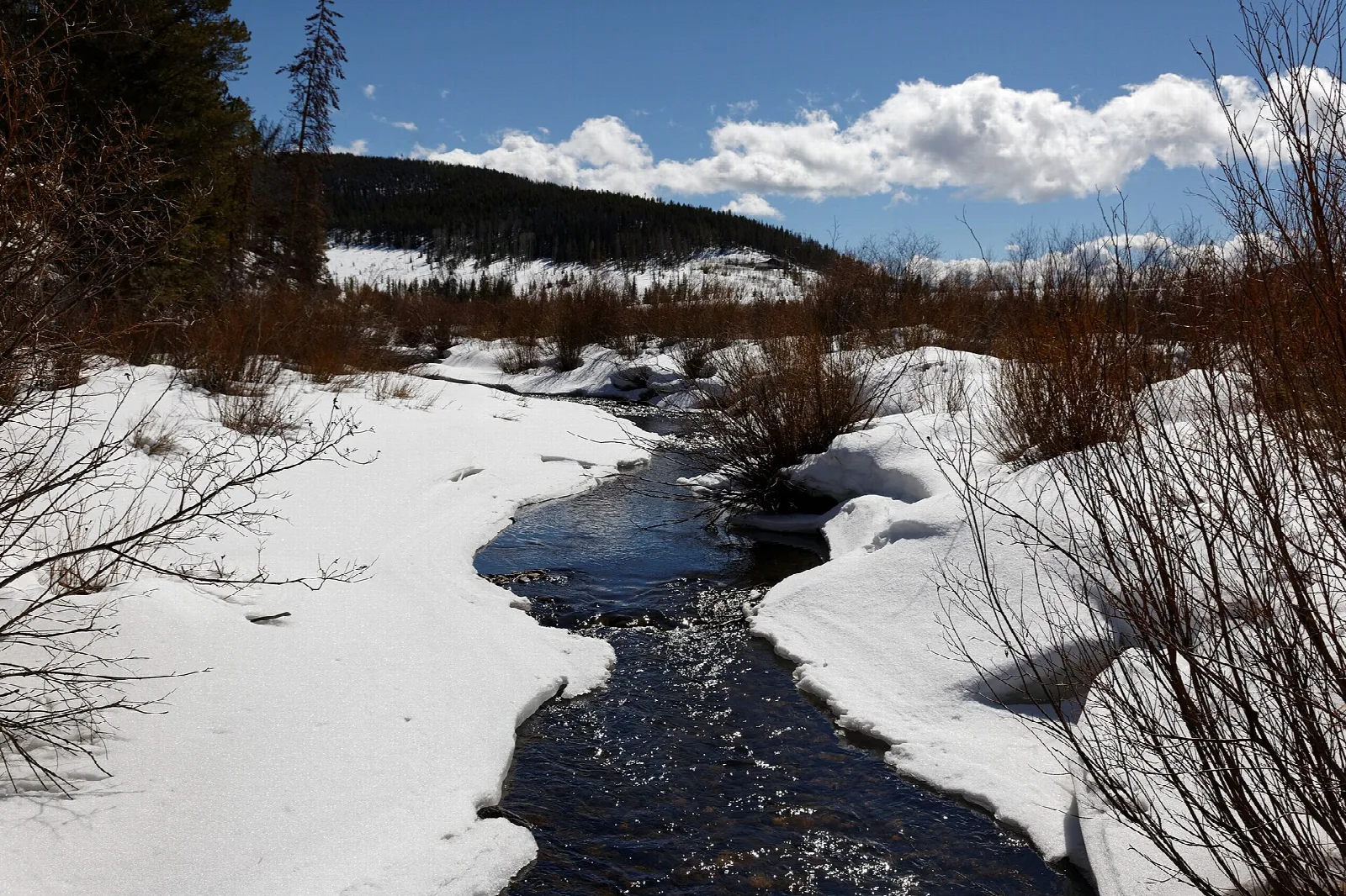 A creek winding through snow banks between conifers