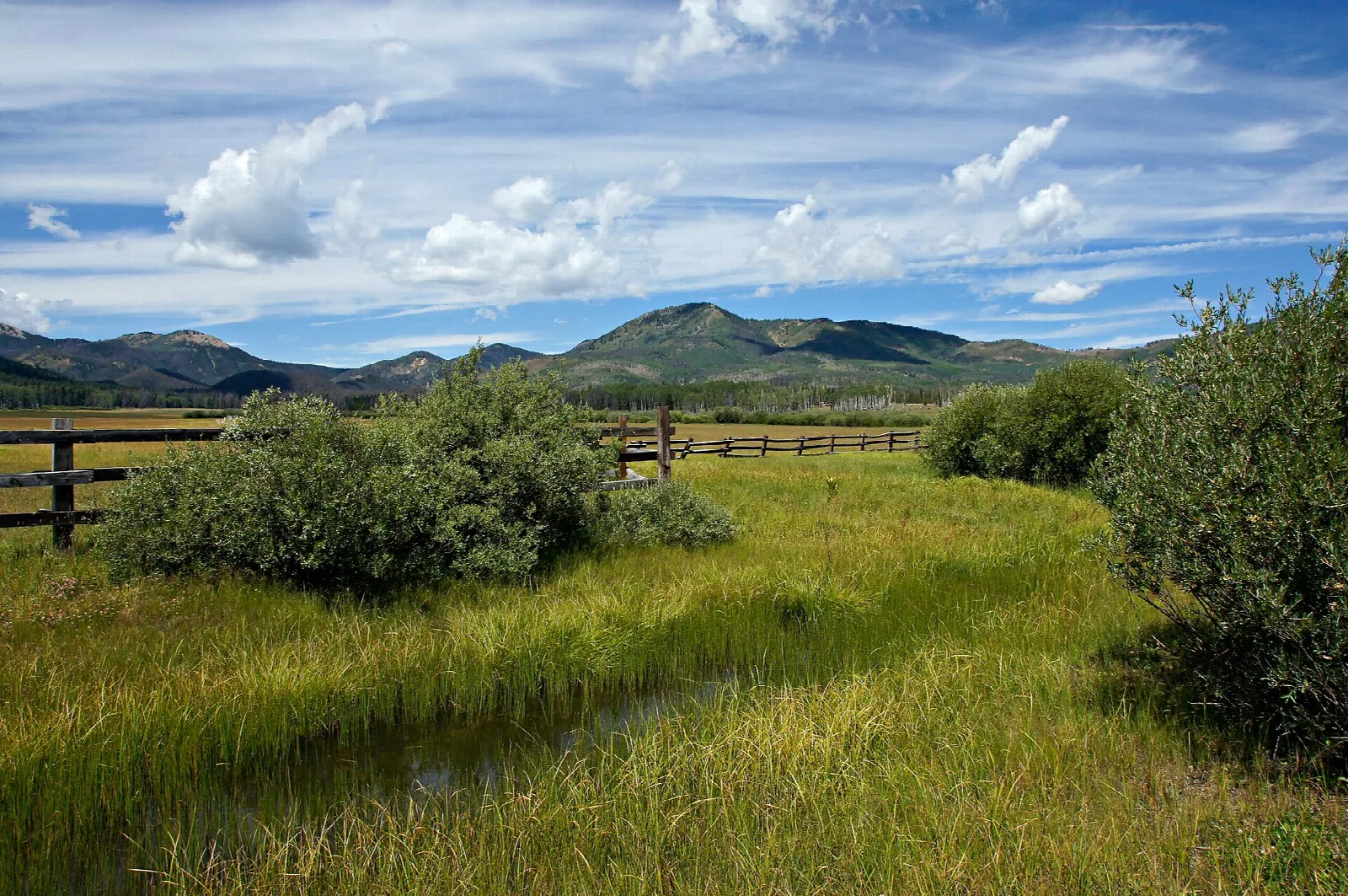 Green mountain meadow with a wooden fence and a forested peak under blue sky and clouds