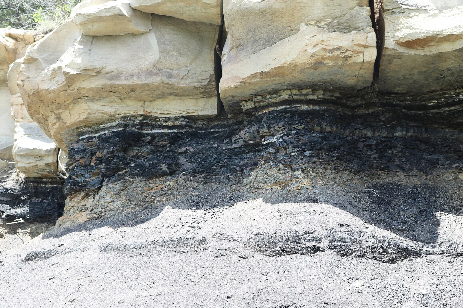 Pale sandstone layers over a dark coal-colored band of rock