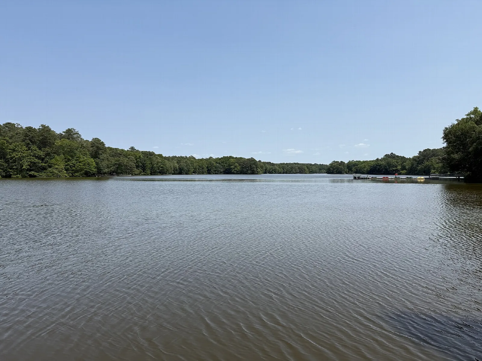 Open pond water with forested shoreline and blue sky