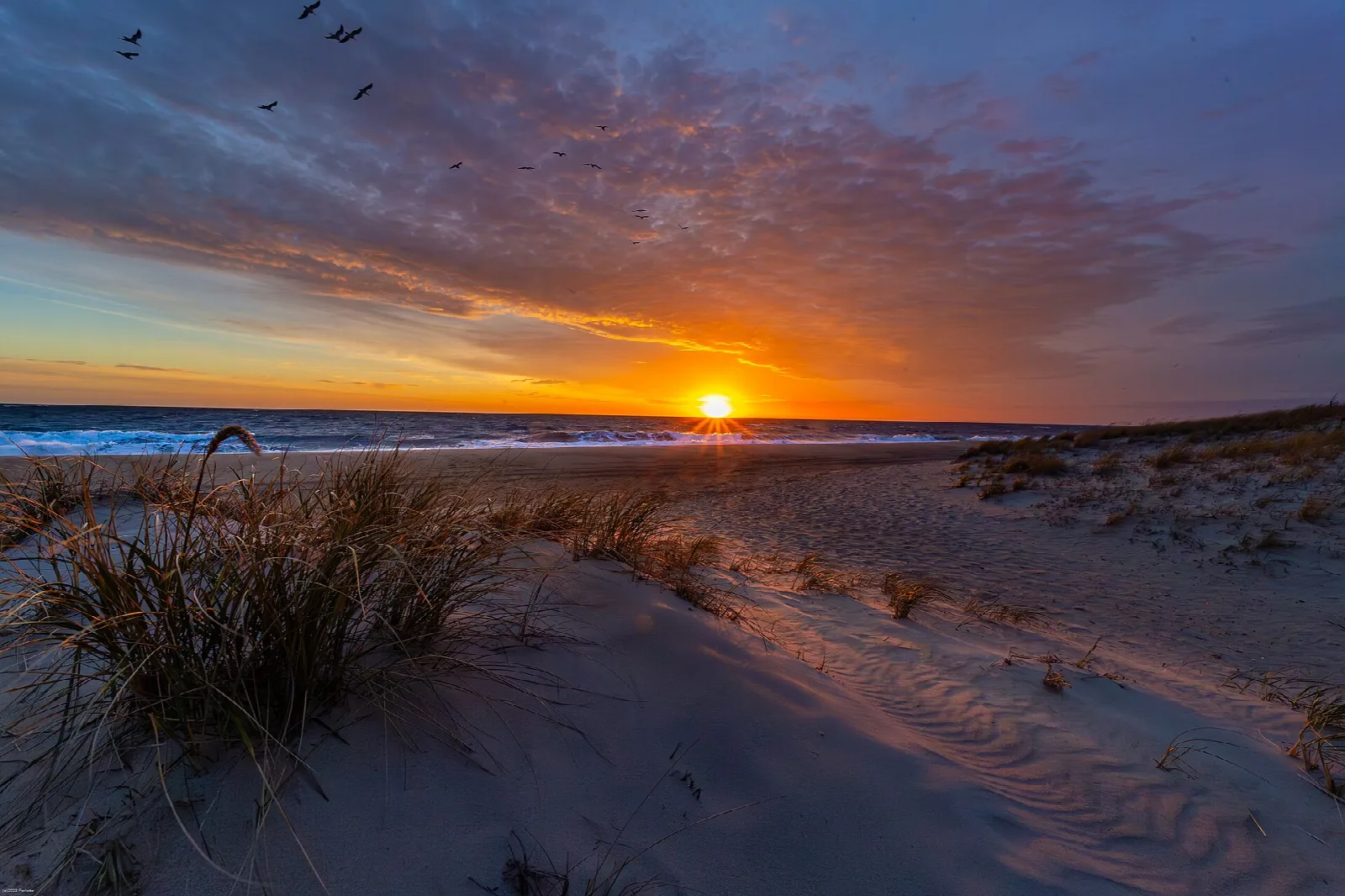 Sun rising over the ocean behind sand dunes and beach grass at dawn