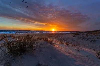 Cape Henlopen State Park