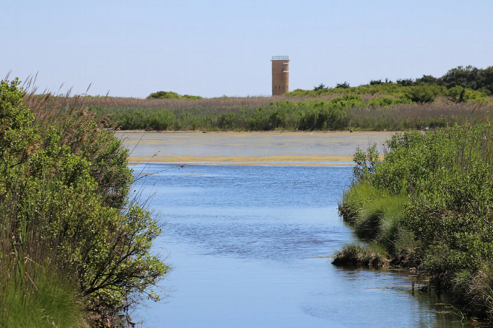 Tidal inlet with marsh grass and a watchtower in the distance