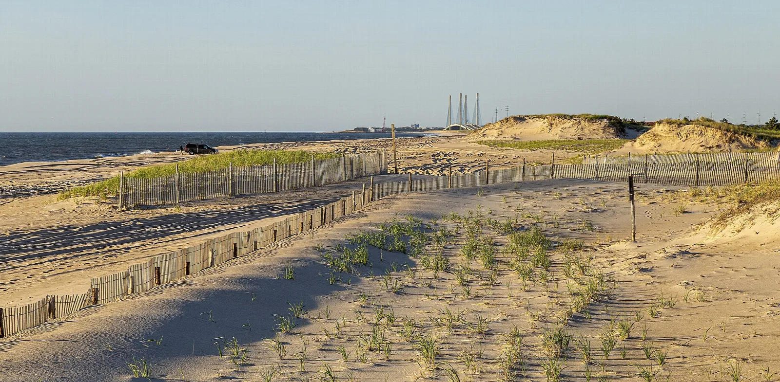 Dune fencing and beach grass looking south toward Indian River Inlet in early light