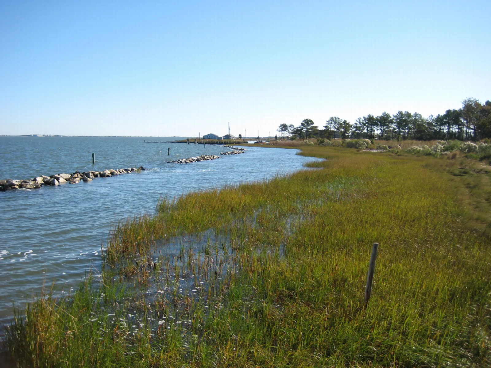 Marsh grass along the shore of a wide bay with rocks at the water's edge