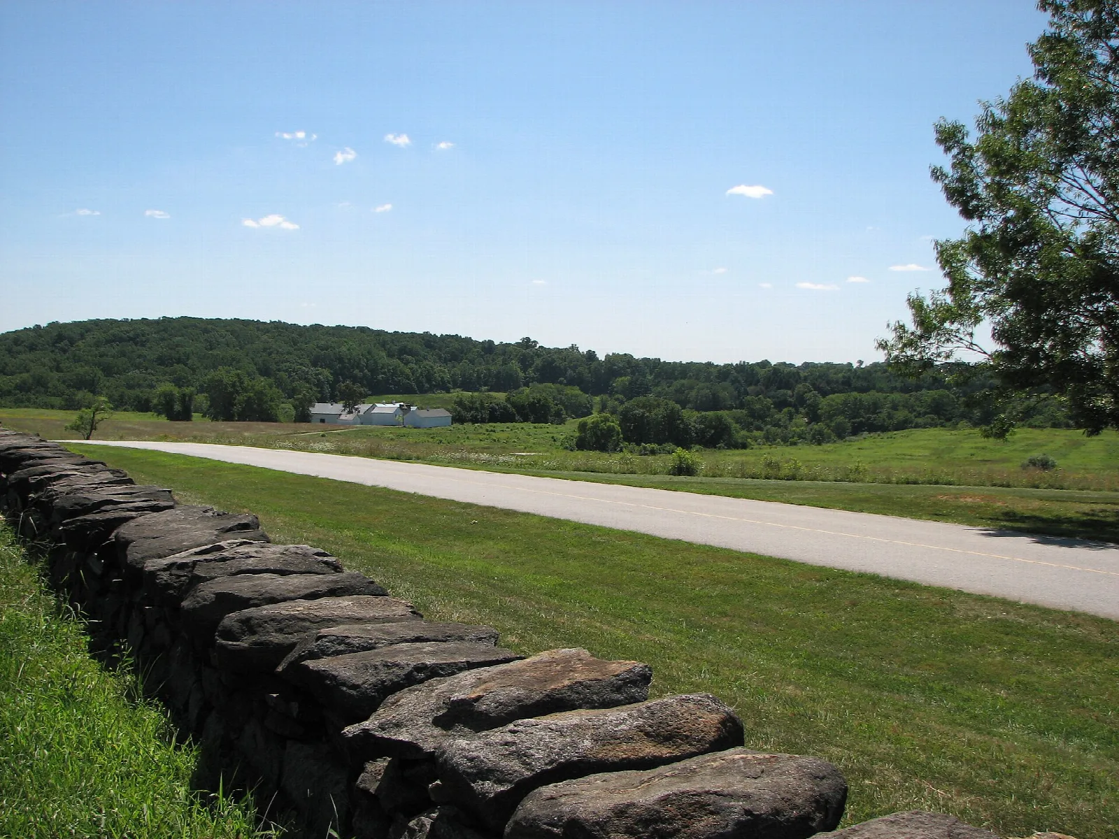 Low stone wall beside a paved path across rolling green fields with forest beyond
