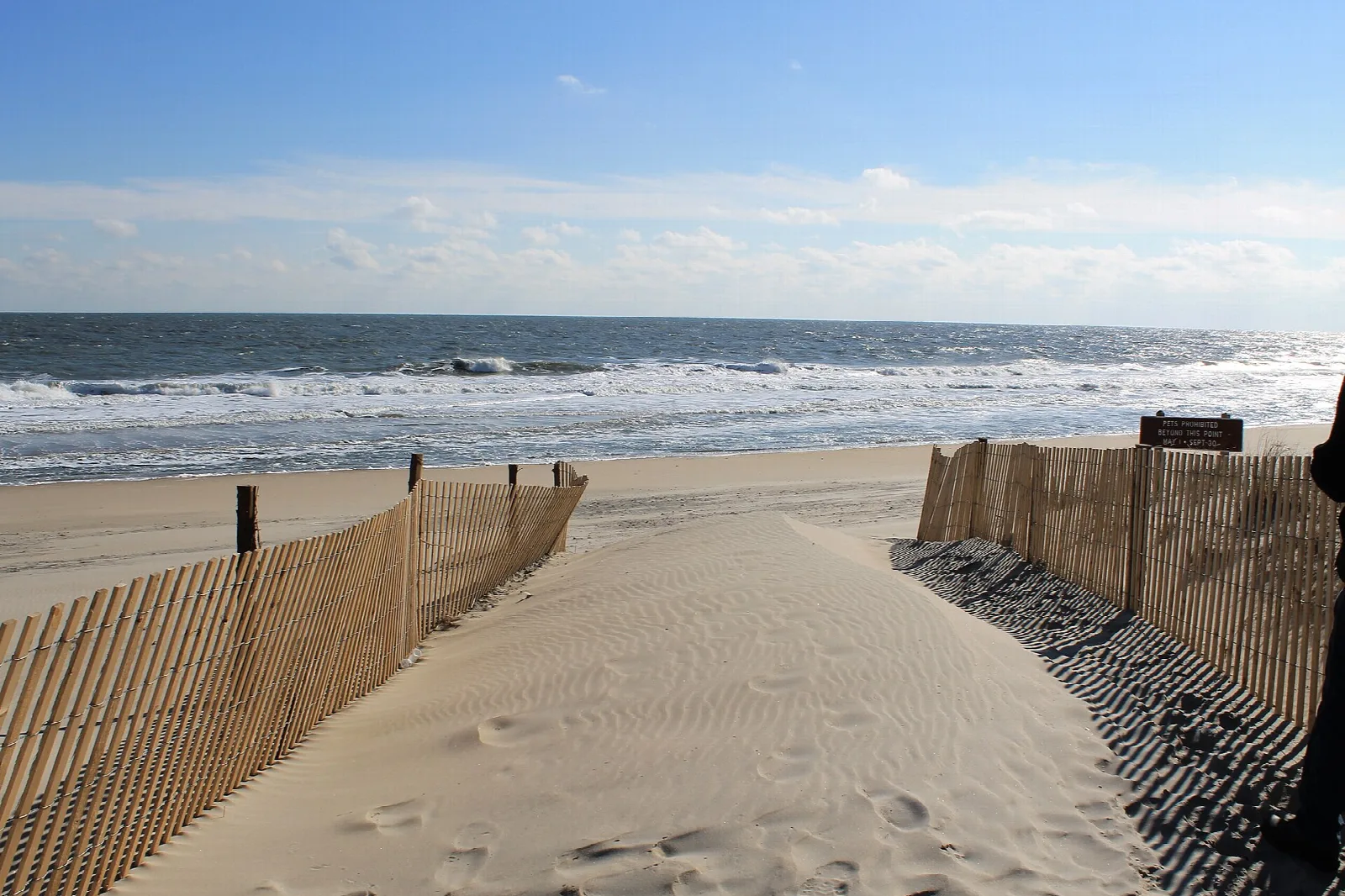 Dune fencing along a sandy path to the ocean