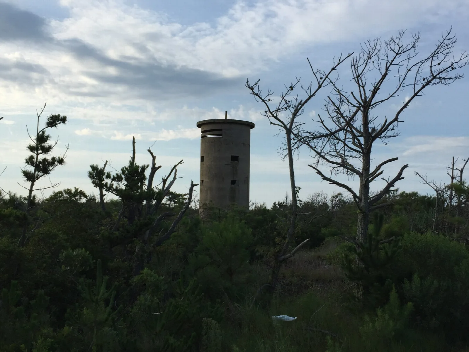 Round stone observation tower among bare trees and shrubs