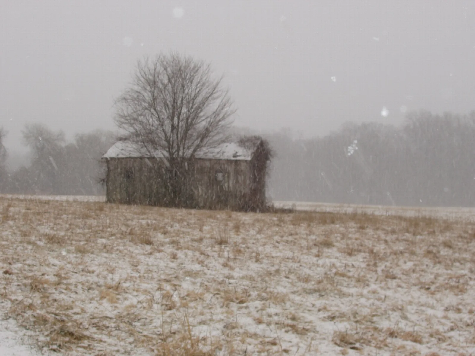 Small barn in a snowy field under a gray sky