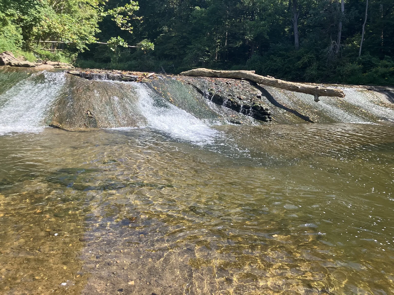 Shallow creek water spilling over a low rock ledge in the woods