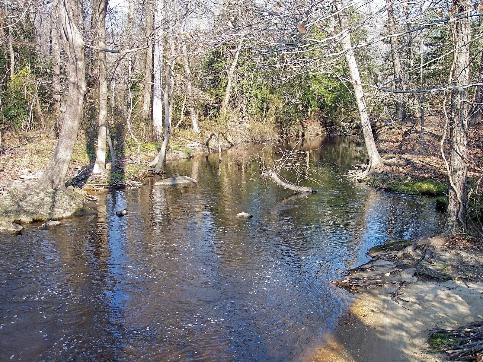 Dark river water winding through woods