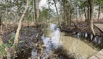 Killens Pond State Park