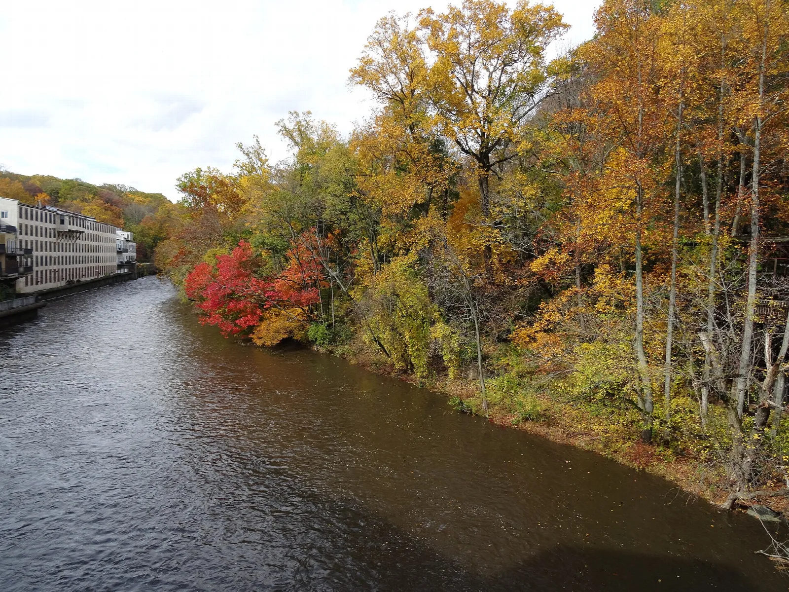 Brandywine Creek lined with autumn trees and a large building