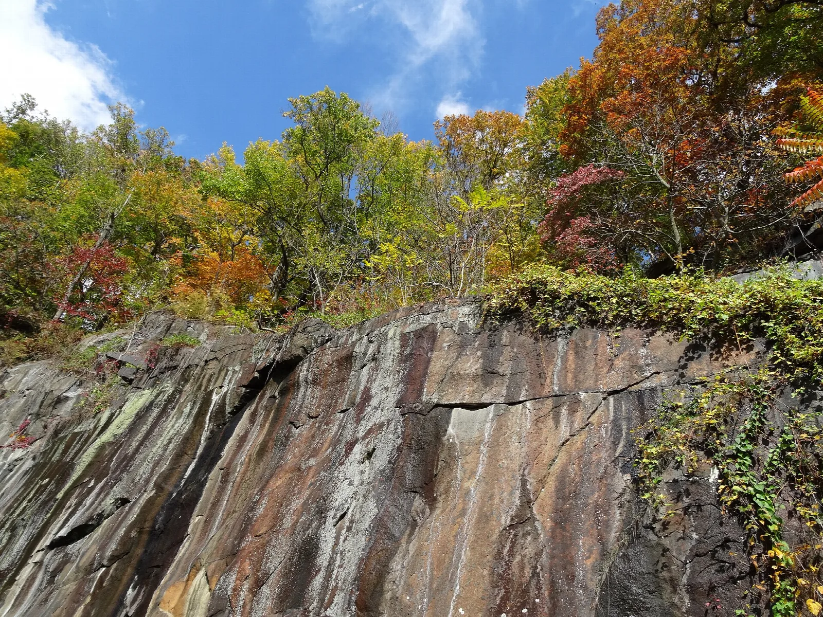 Rock cliff face topped with autumn trees under blue sky
