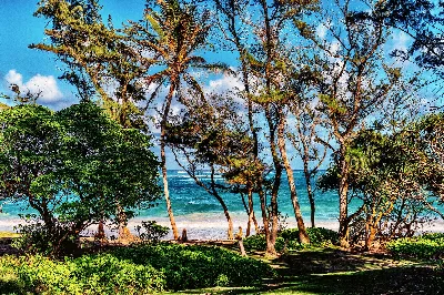 Malaekahana State Recreation Area (Kahuku Sec.)