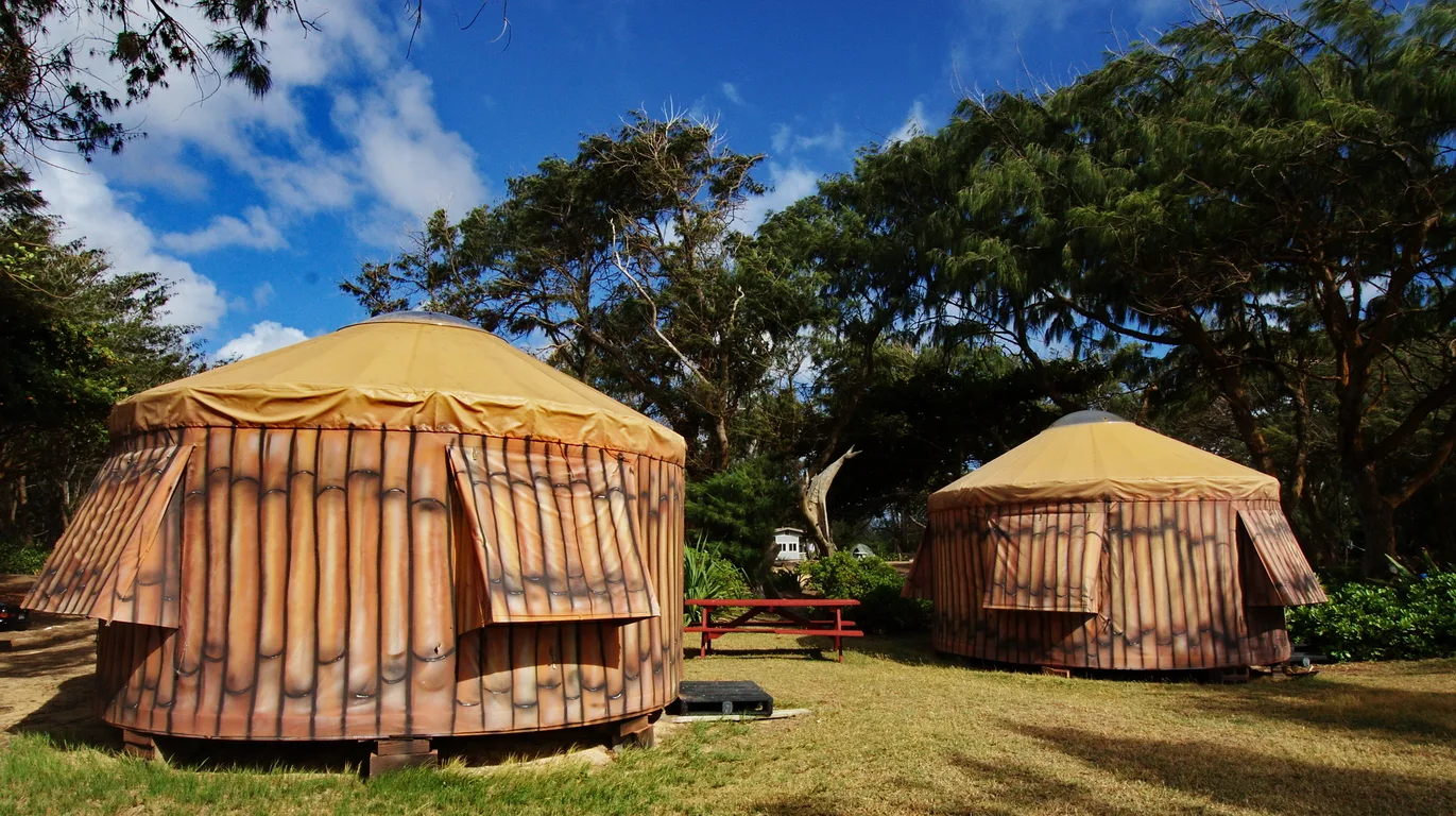 Two round tan yurts on a lawn under tall trees, with a picnic table